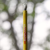 Recycled seed paper pencil
